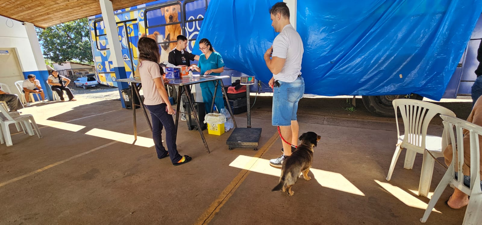 Mutirão de castração gratuita atende mais de 220 animais em Hortolândia